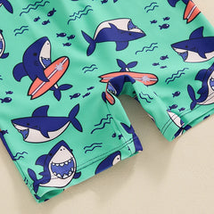 Baby Boy Rash Guard Zip-Up Swimsuit with Sun Hat