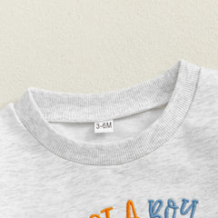 Baby Boy Long Sleeve Dinosaur Embroidered Romper